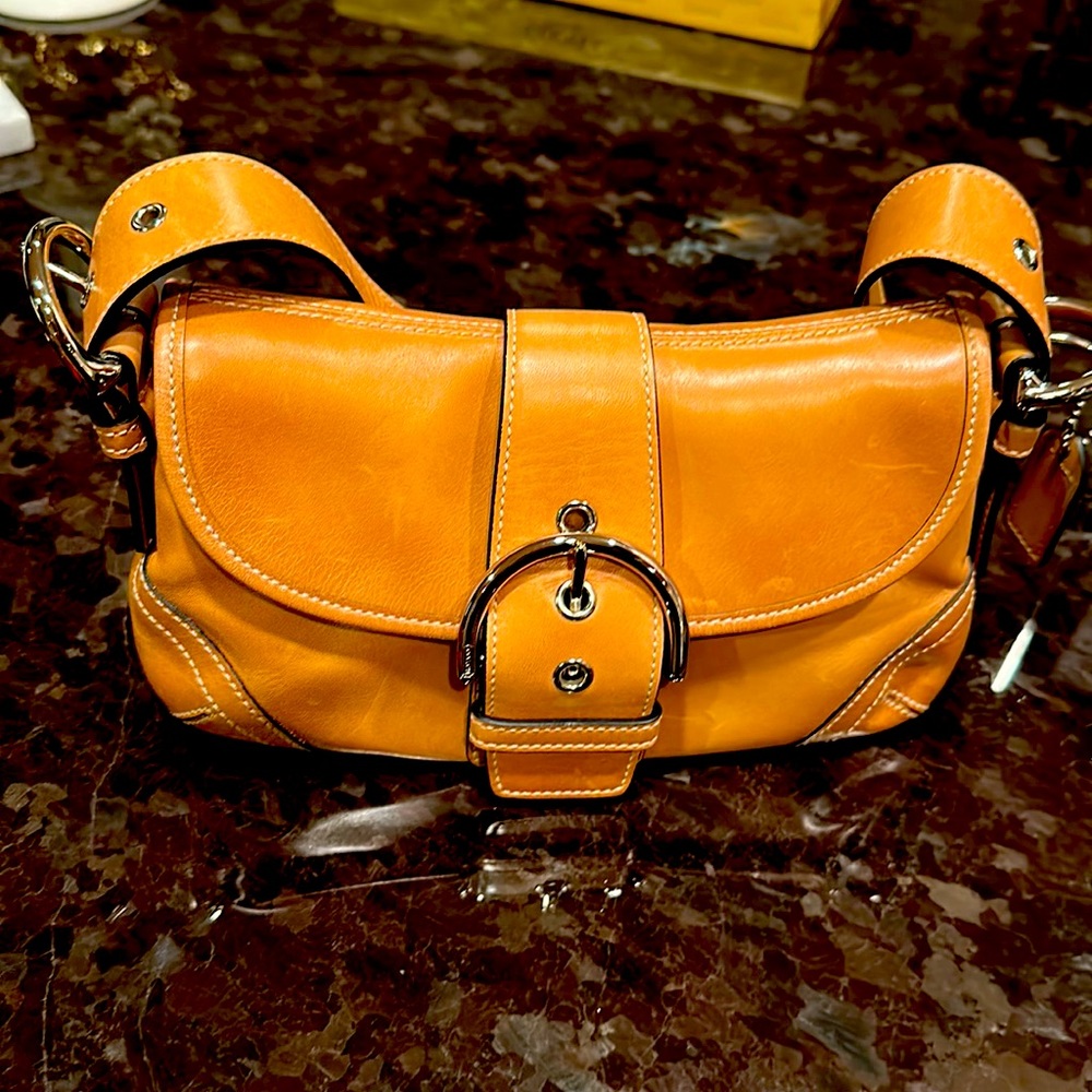 New Coach bag